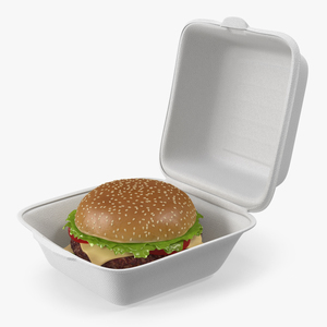 3D Food Box with Hamburger model