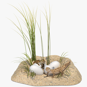 3D model Baby Crocodiles Nest