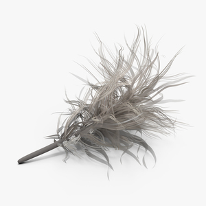 3D model Canada Goose Feather