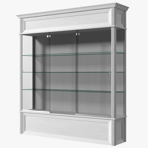 3D model Trophy Display Case White