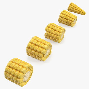 3D Sliced Baby Corn