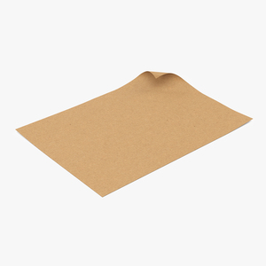 3D Kraft Paper With Corner Curl model