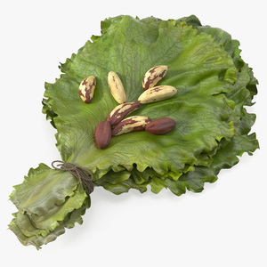 3D Lettuce Leaves with Brazil Nuts