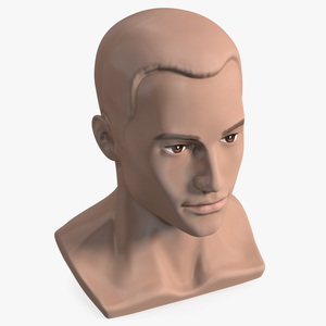 Plastic Male Mannequin Head with Hair 3D