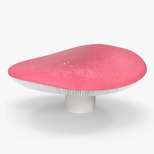 Russula 3D model