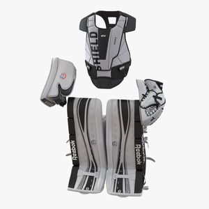 3D Hockey Goalie Protection Kit model