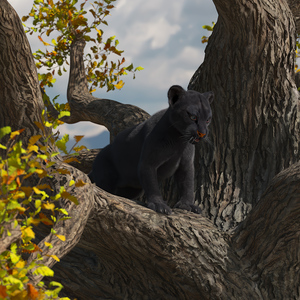 3D model Black Panther Cub on Ancient Twisted Tree Fur