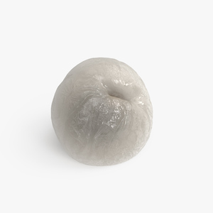 3D Peeled Longan model