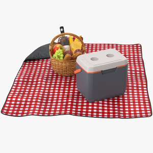 Picnic Food on Blanket 3D