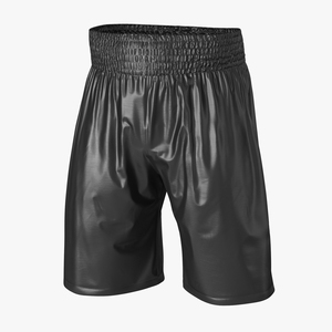 Boxing Trunks Black 3D model