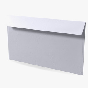 White DL Envelope 3D