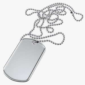 3D Military Dog Tag with Chain Blank model