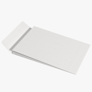 3D White Gusset Envelope Rigged model