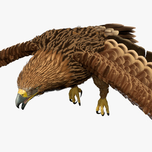 3D Realistic Imperial Eagle Flying