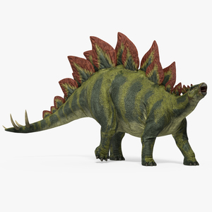 Stegosaurus Walking Pose 3D model