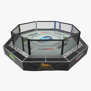 3D UFC Fighting Arena model