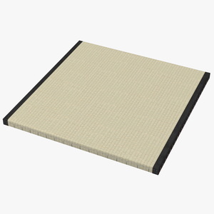 3D model Traditional Tatami Straw Mat Square