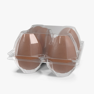 Plastic Egg Tray with 4 Brown Eggs 3D model