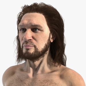 Cromagnon Man Rigged Fur 3D model