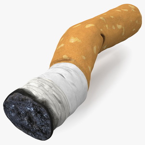 Realistic Used Cigarette Butt 3D model