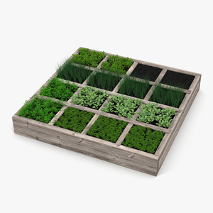 3D Vegetable Garden