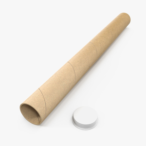 Cardboard Tube 3D model