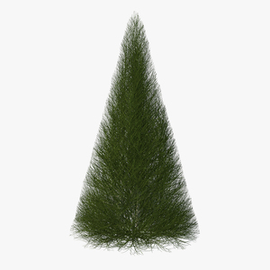 3D model Pyramidal Bare Shrub