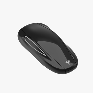 3D model Tesla S Key Fob