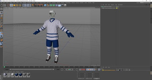 Hockey Equipment Generic 3D model