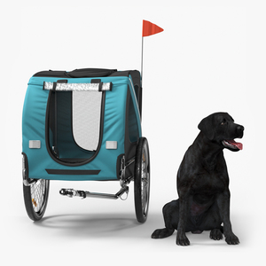 Dog Bicycle Trailer 3D model