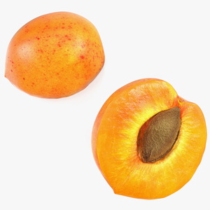 Apricot Cut in Half 3D model