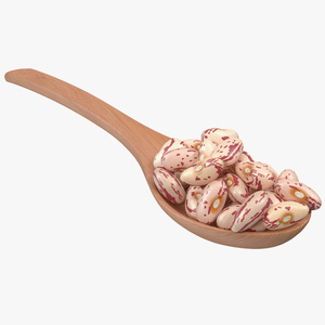 3D Roman Bean In a Wooden Spoon model