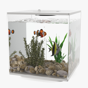 3D model Fish Tank White Cube