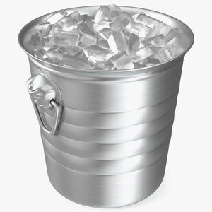 3D model Ice Bucket