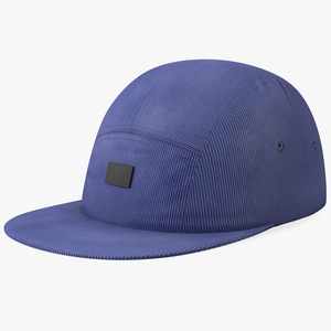 3D Flat Brim 5 Panel Hat Dark Blue