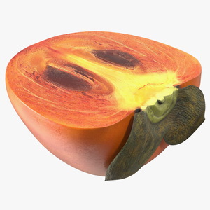 3D model Persimmon Fruit Half