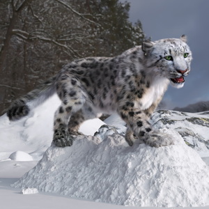 3D Snow Leopard on Snowy Mound Fur