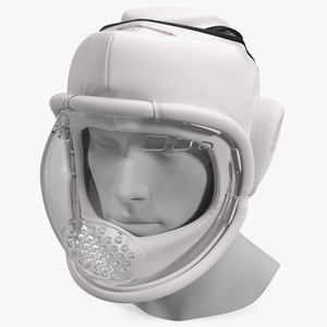 3D White Kudo Headguard on Mannequin Head model