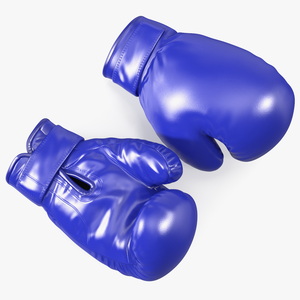 Professional Leather Boxing Gloves 3D model