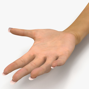 3D model Female Hand 2 Rigged