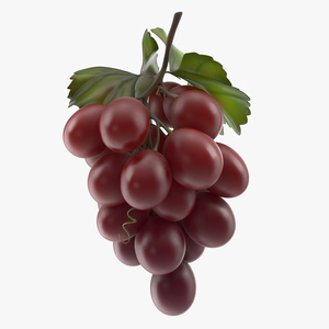 3D model Bunch of Fresh Red Grapes