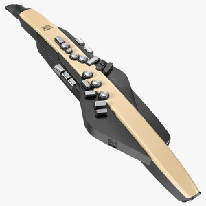 3D Aerophone AE-20SC Gold Color model