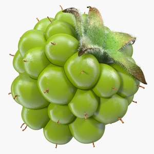 Unripe Green Blackberry with Fur 3D