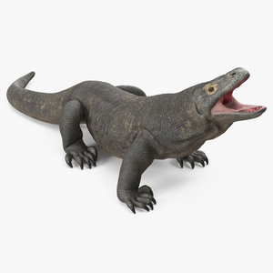 Komodo Dragon Standing Pose 3D