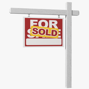 3D For Sale Sign Sold model