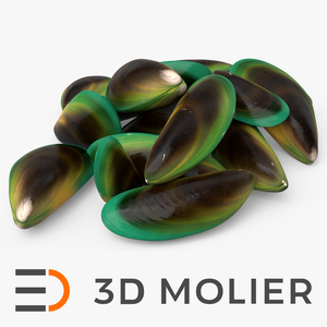 3D Pile of Green Lipped Clams