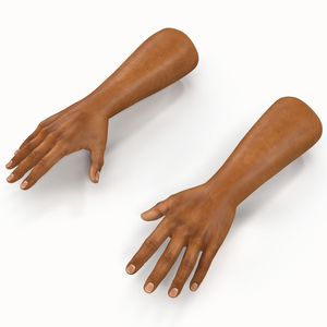 African Man Hands 2 3D model