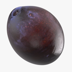 Blue Plum 3D model