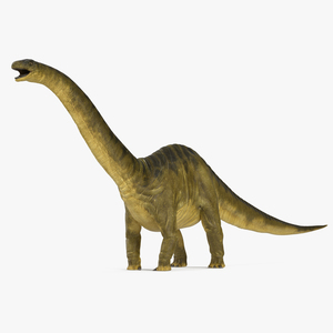 3D model Apatosaurus Dinosaur