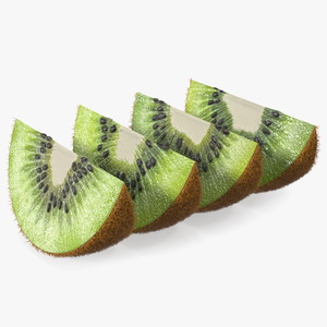 3D model Half Kiwi Slices Fur